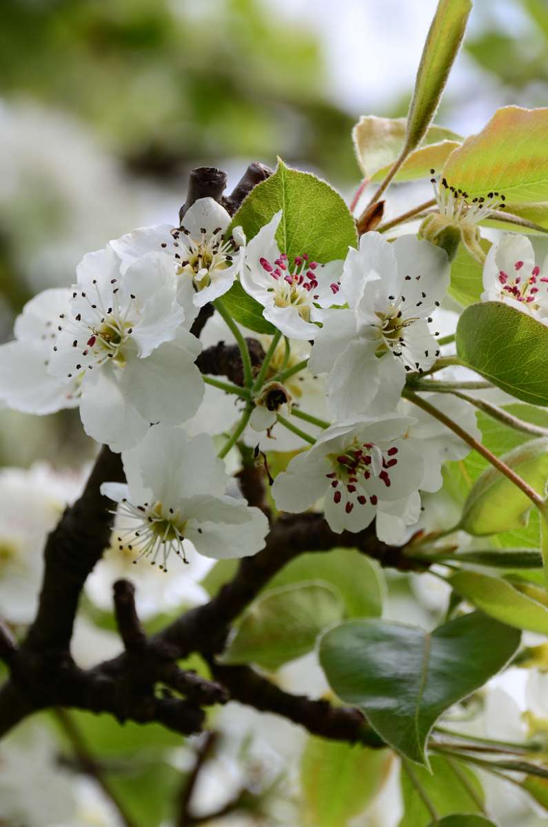 2014-04-05 12-30-08.JPG